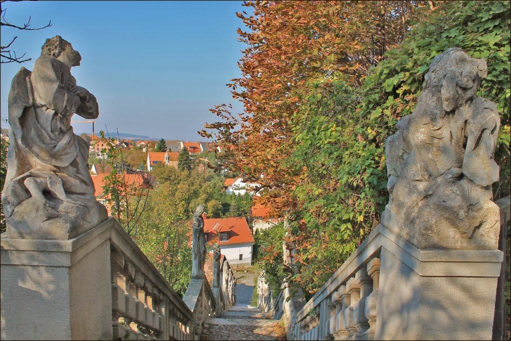 Karmelita Boutique Apartman Sopron Luaran gambar